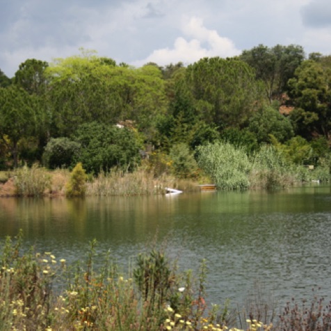 Lovely Algarve dam in springtime Lovely Algarve dam in springtime